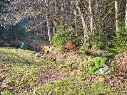 20220205202135-6f7884b8